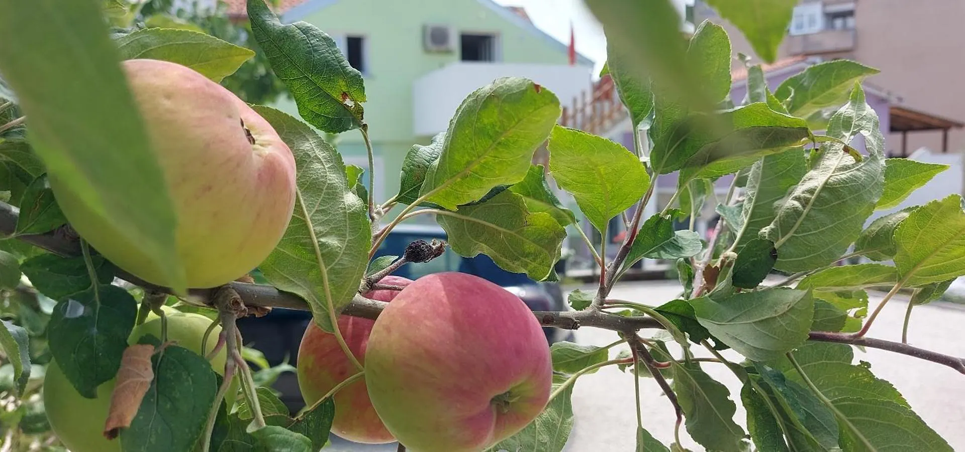 Appartamento Ema & Sea Apartment'S With Free Private Parking Pola